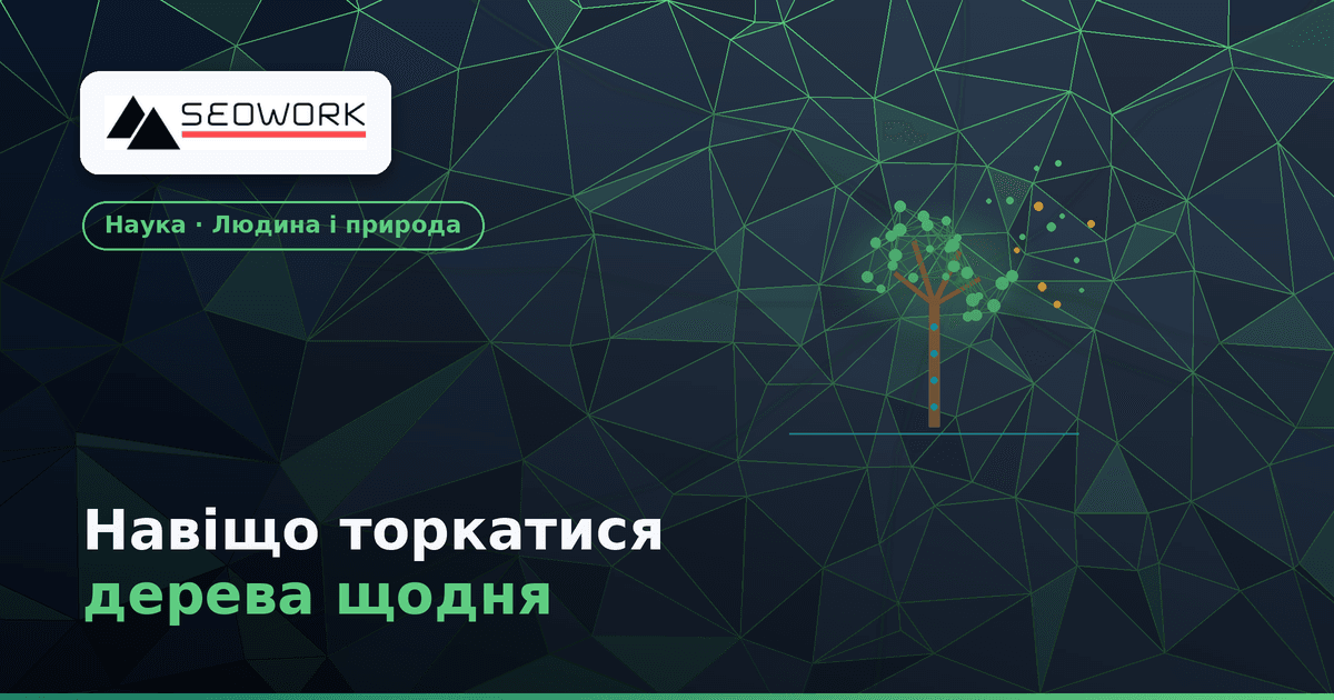 Навіщо торкатися дерева щодня: що про це каже наука 1 Навіщо торкатися дерева щодня: що про це каже наука