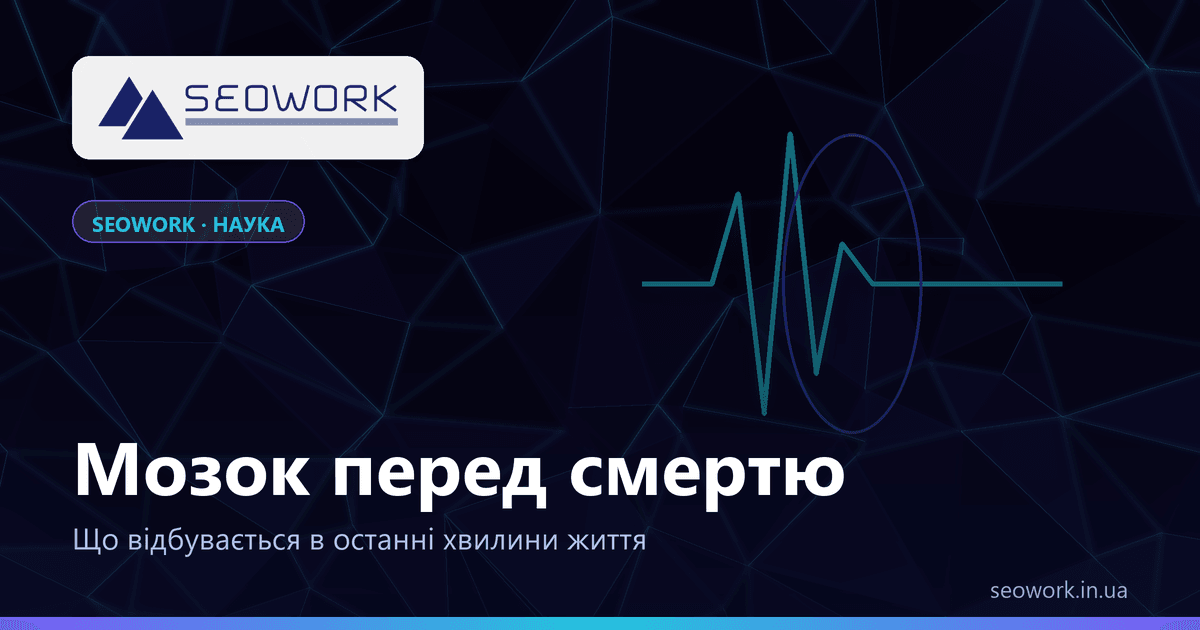 Мозок перед смертю: що відбувається в останні хвилини життя 1 Обкладинка статті про те, що відбувається з мозком перед смертю в останні хвилини життя