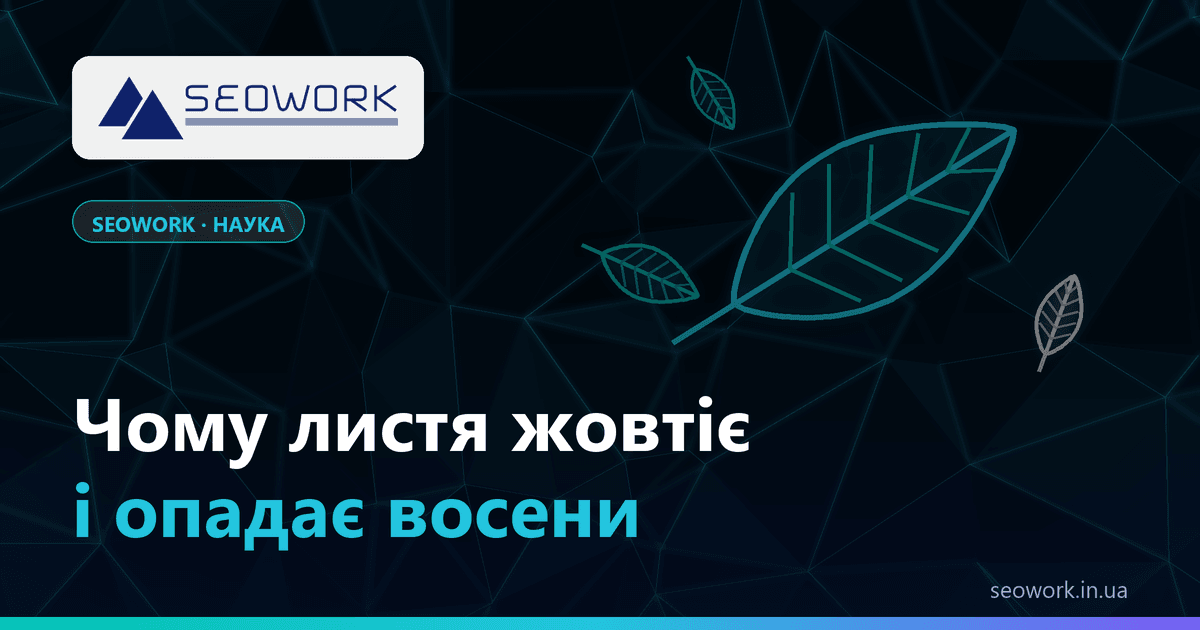 Чому листя жовтіє і опадає восени — хлорофіл, каротиноїди й антоціани в осінньому листку