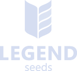 Legend Seeds
